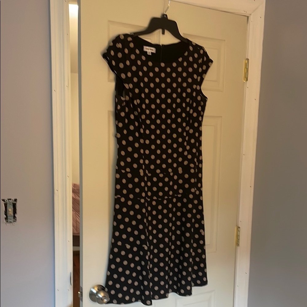 Jones Studio Black and Cream A-line Midi Dress with Crew Neck